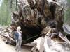 DSC02687.JPG