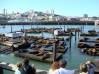 DSC02867.JPG