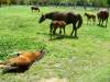 DSC03432.JPG