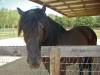 DSC03435.JPG