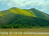 DSC03441.JPG