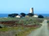 DSC03453.JPG