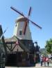 DSC03533.JPG