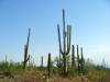 DSC03896.JPG