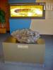 DSC04363.JPG