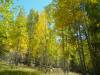 DSC04371.JPG
