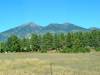 DSC04378.JPG