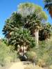 DSC04410.JPG