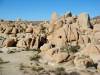 DSC04422.JPG