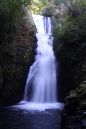 RT6_09863