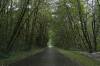 RT6_10189.JPG