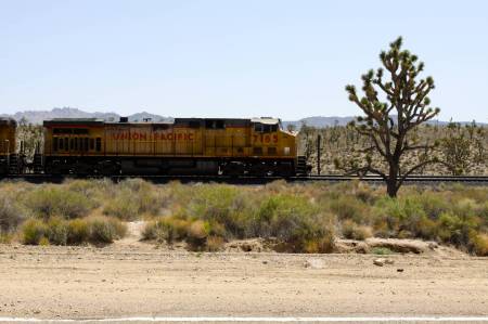RT6A_09985