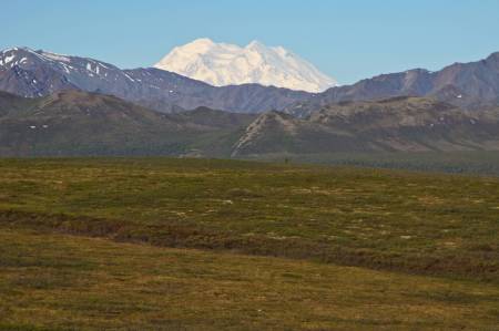 [RT7_020] Denali National Park