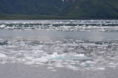 [RT7_107] Kenai Fjords Cruise Tours