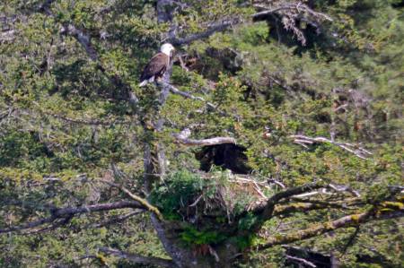 [RT7_112] Kenai Fjords Cruise Tours
