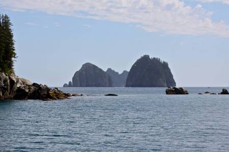 [RT7_115] Kenai Fjords Cruise Tours