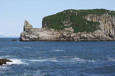 [RT7_116] Kenai Fjords Cruise Tours