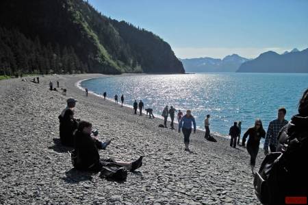 [RT7_121_HK] Kenai Fjords Cruise Tours