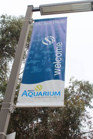 Birch Aquarium Welcome!