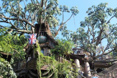 Tarzan's Treehouse - Disneyland