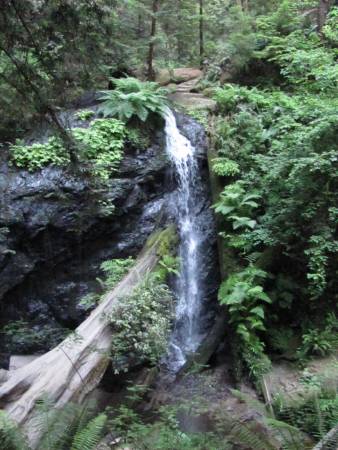 Russian Gulch State Park