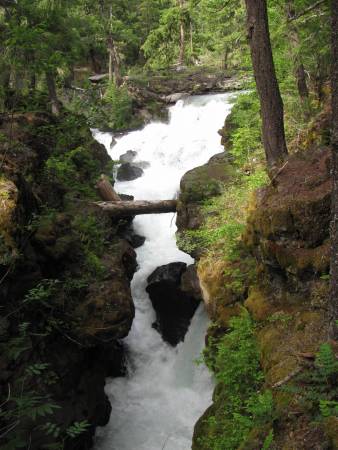 Rouge River