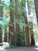 N_Cali_120.JPG
