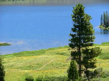 Trappers_Lake_007
