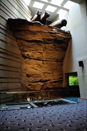 Inside Head-Smashed-In Buffalo Jump