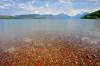 LakeMacDonaldGNP.jpg