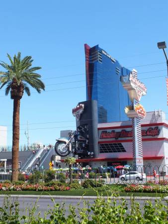 Harley D in Vegas.