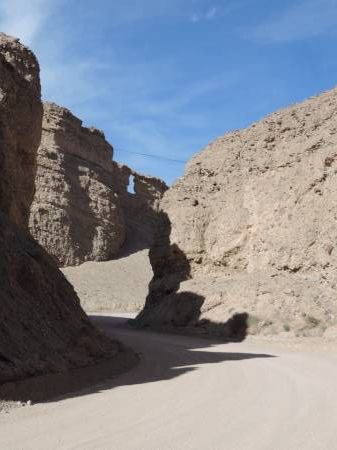 China Ranch -Driving Out