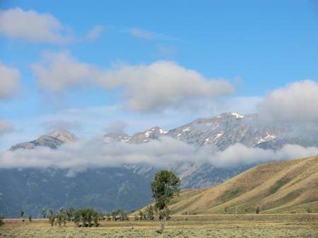 Mormning Mist in Tetons