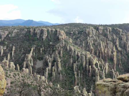 Chiricahua NM