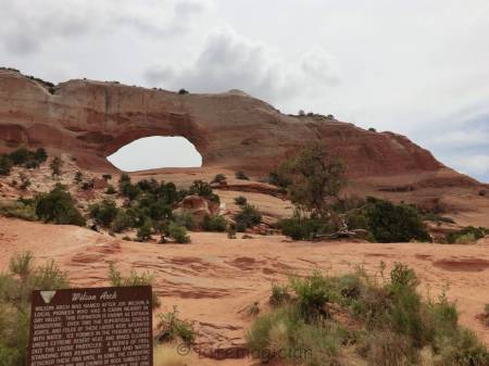 Wilson's Arch