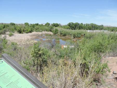Las Lagunas Wetlands