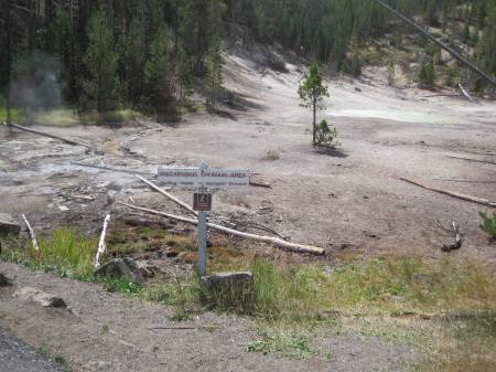 Norris Geysers
