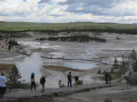 Norris Geysers