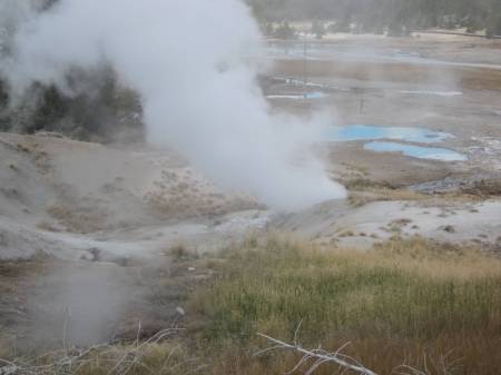 Norris Geysers