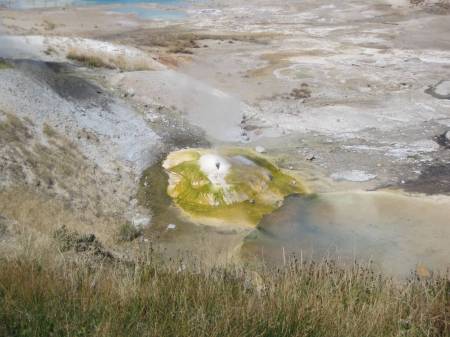 Norris Geysers