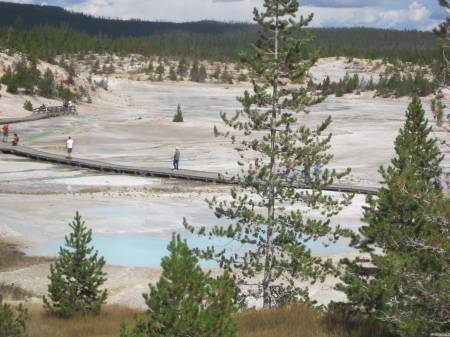 Norris Geysers