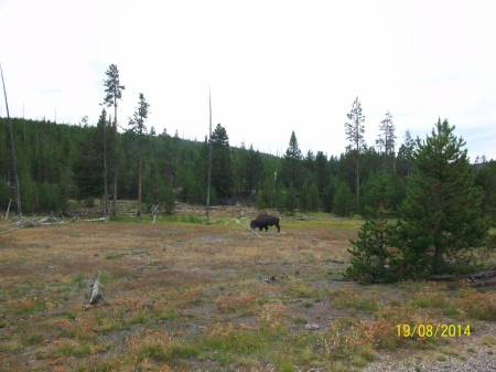 Grand Teton NP