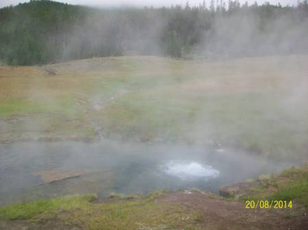 Yellowstone NP