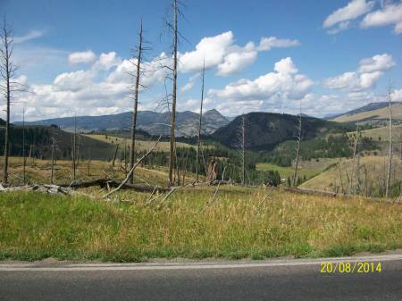 Yellowstone NP