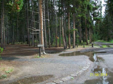 Yellowstone NP