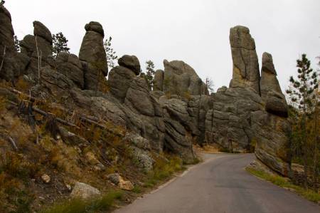 [RT08_085] Custer State Park, SD