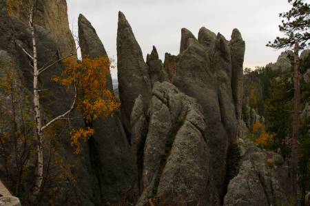 [RT08_086] Custer State Park, SD
