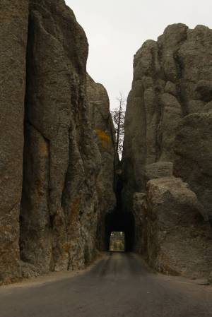 [RT08_088] Custer State Park, SD