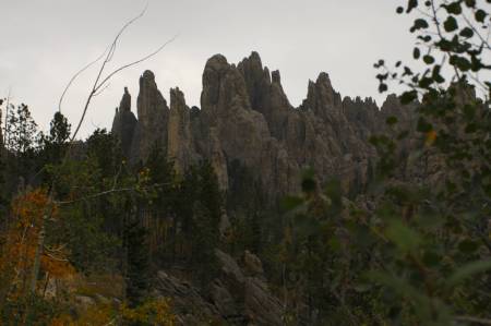 [RT08_089] Custer State Park, SD