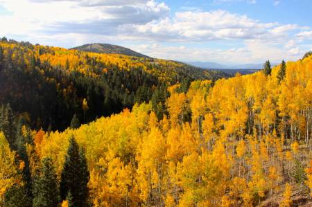 [RT08_138] Cripple Creek, CO